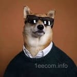 Avatar of Rimsha Qamar